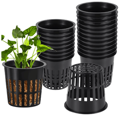 20 Macetas Canastilla Hidroponia Boca 6,5cm Altura 7cm - InnovaHome