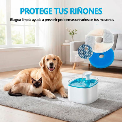 Pack 12 Filtros Para Bebederos Fuentes De Mascotas - InnovaHome